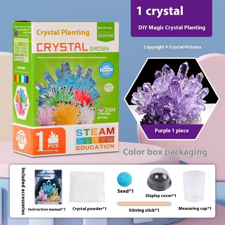 Growing Crystal Scientific Experiment