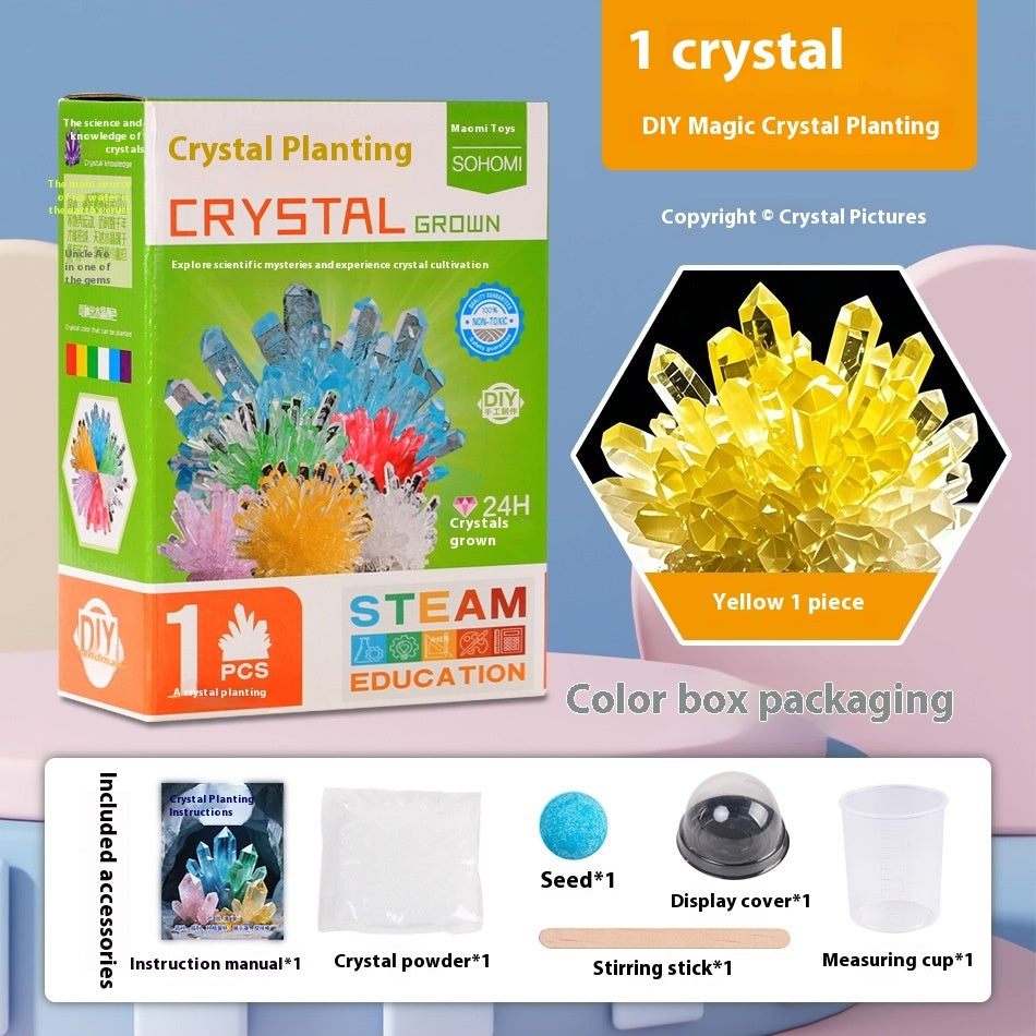 Growing Crystal Scientific Experiment