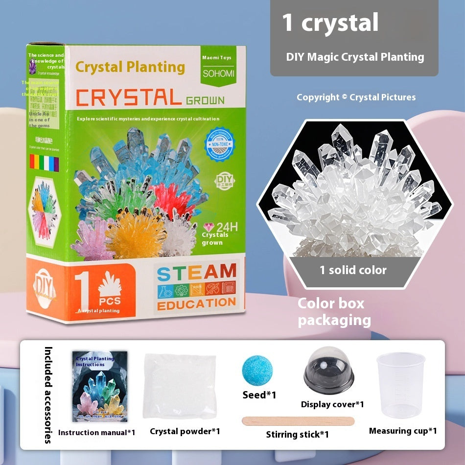 Growing Crystal Scientific Experiment