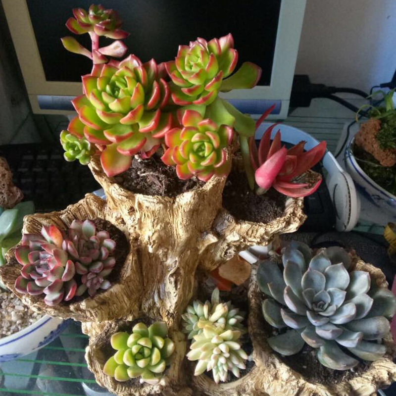 Tree Bark Flower Pots for Garden